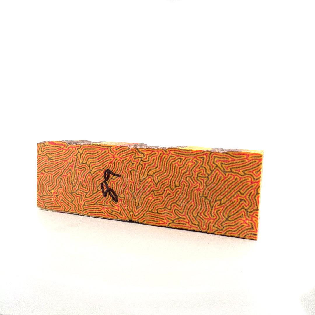 Photo of colorful block for use in building a Noble Prestige IEM