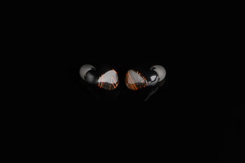 イヤホン Noble Audio Fokus Triumph FoKus TRIUMPH - Noble Audio Japan