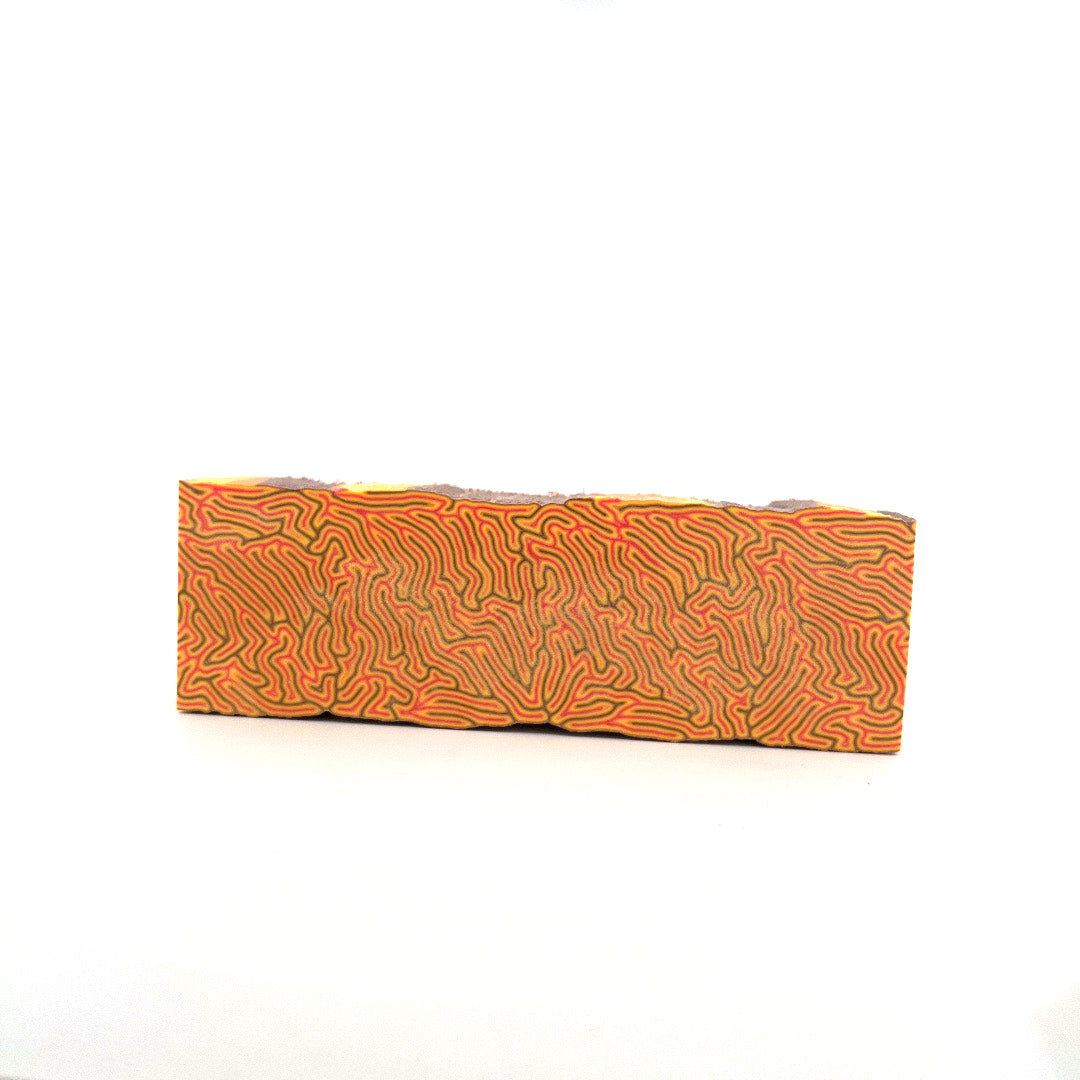 Photo of colorful block for use in building a Noble Prestige IEM
